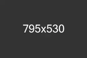 795x530