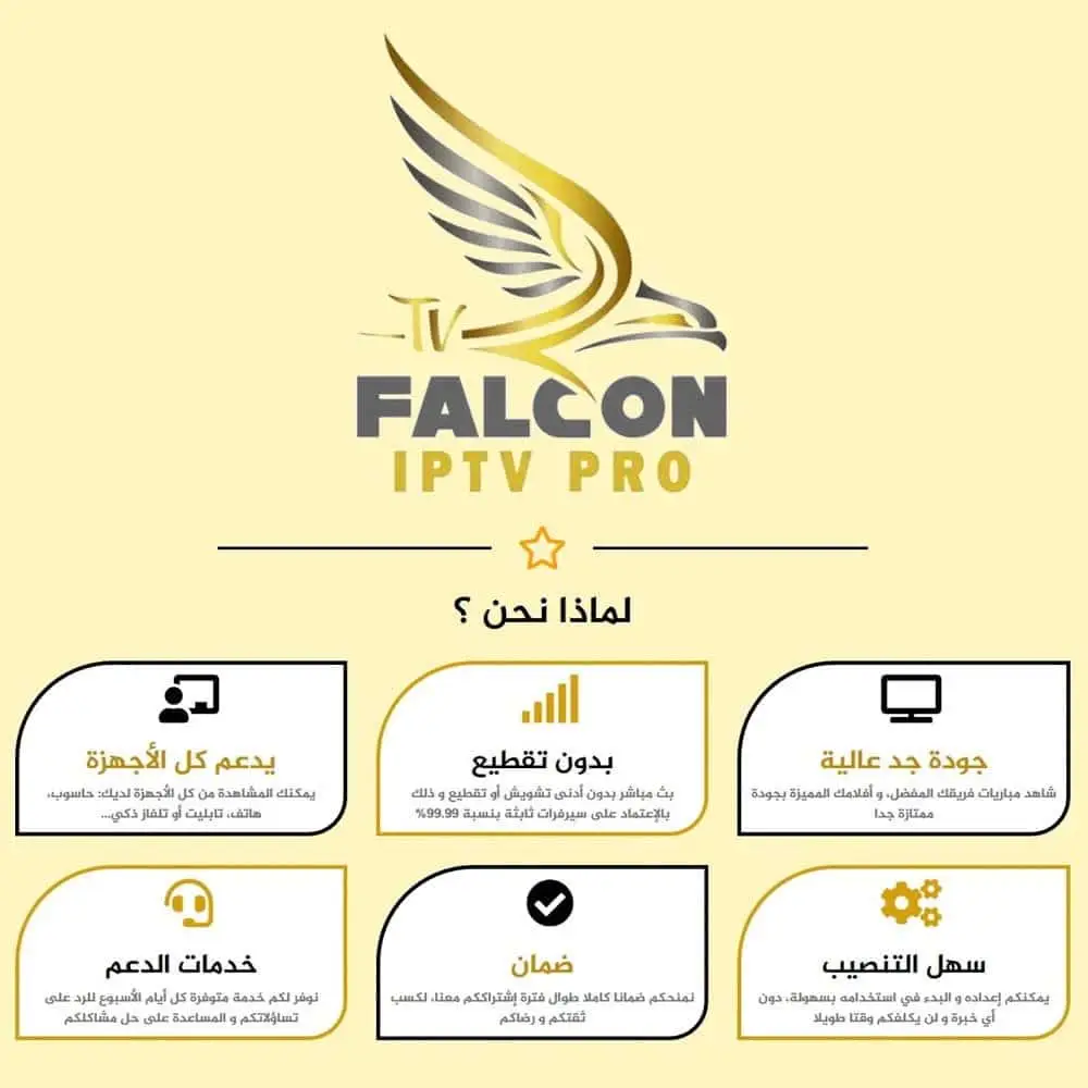 FALCON TV PRO - اشتراك فالكون لمدة سنة مستخدمين 2 3 FALCON TV PRO - اشتراك فالكون لمدة سنة مستخدمين 2 - الصورة 3
